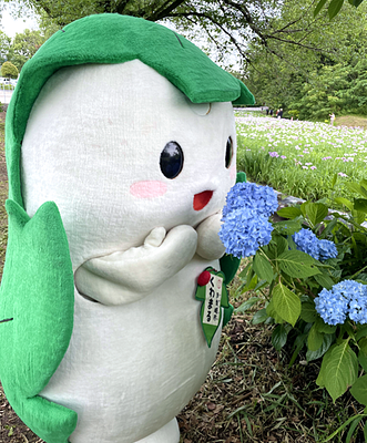 タカウサギ | ゆるナビ